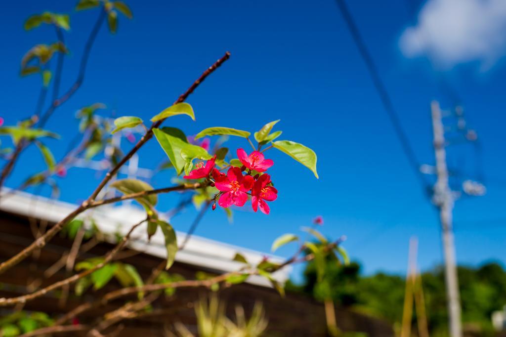United Resort Yomitan Okinawa Bagian luar foto